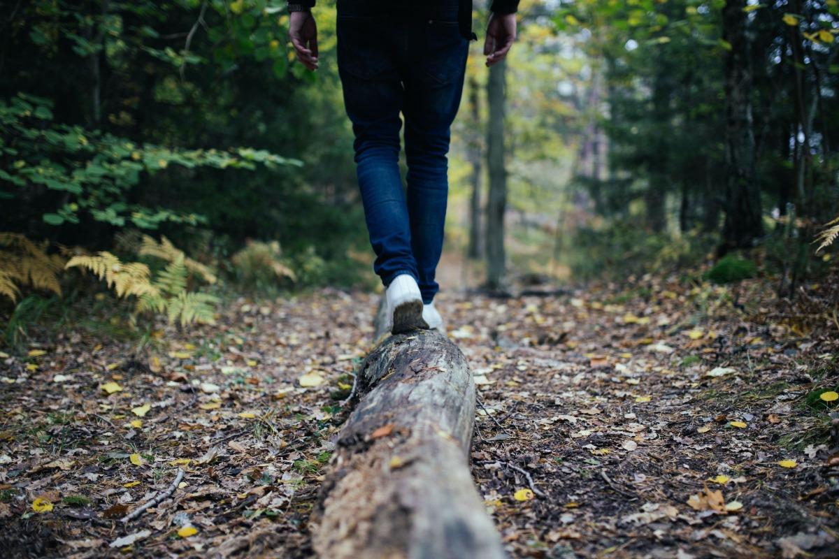 walking in the woods